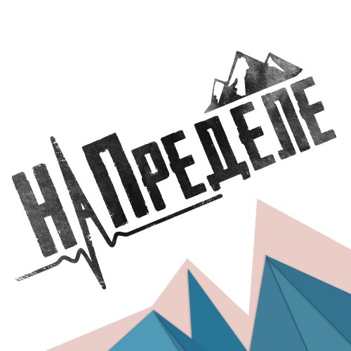 Логотип организации Скалодром На Пределе